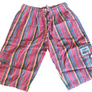 Surfdog Rainbow Stripe Shorts